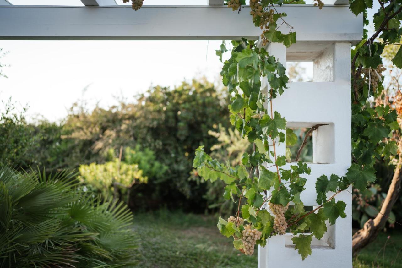 Prestigiosa Villa Con Piscina Condominiale 莫诺波利 外观 照片